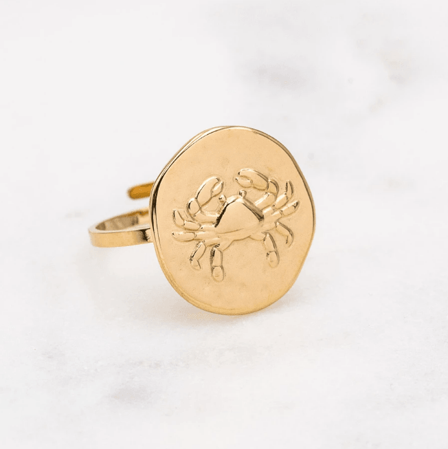 Kirurginterässormus, Astro Collection-horoskooppikoru